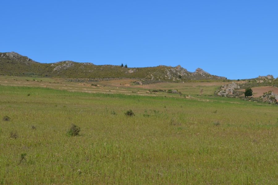 0 Bedroom Property for Sale in Uniondale Western Cape